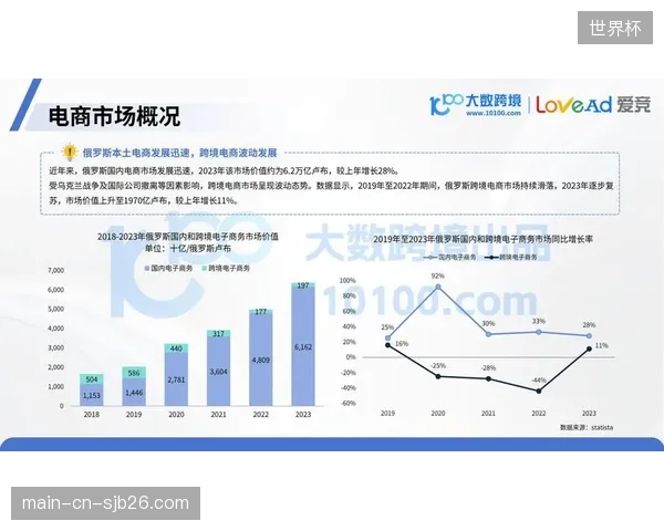 身材高大的塔希罗维奇具备成为中场B2B核心的潜力，能提供额外的制空优势。