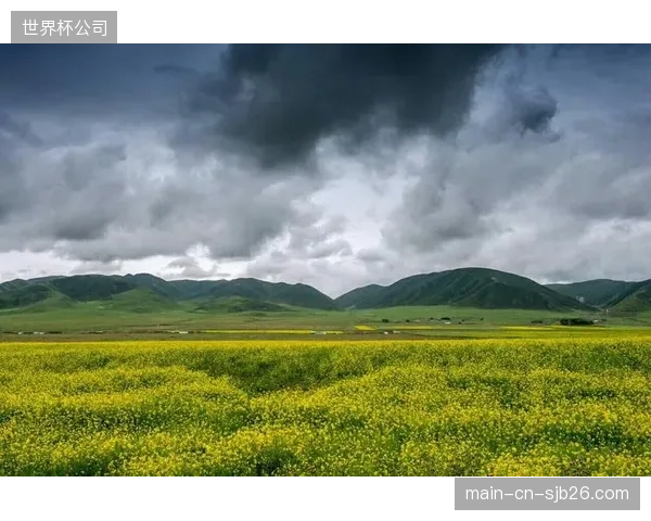 后勤团队将重点调整球员的补水与营养策略，以对抗高原与干燥气候导致的隐性脱水。